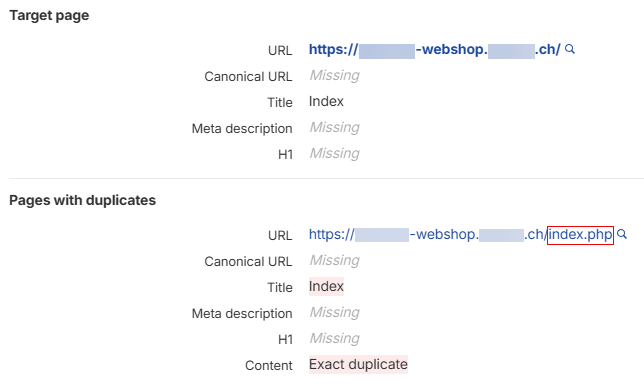 Exaktes Duplikat mit URL-Variation