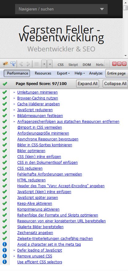 Pagespeed Test im Browser