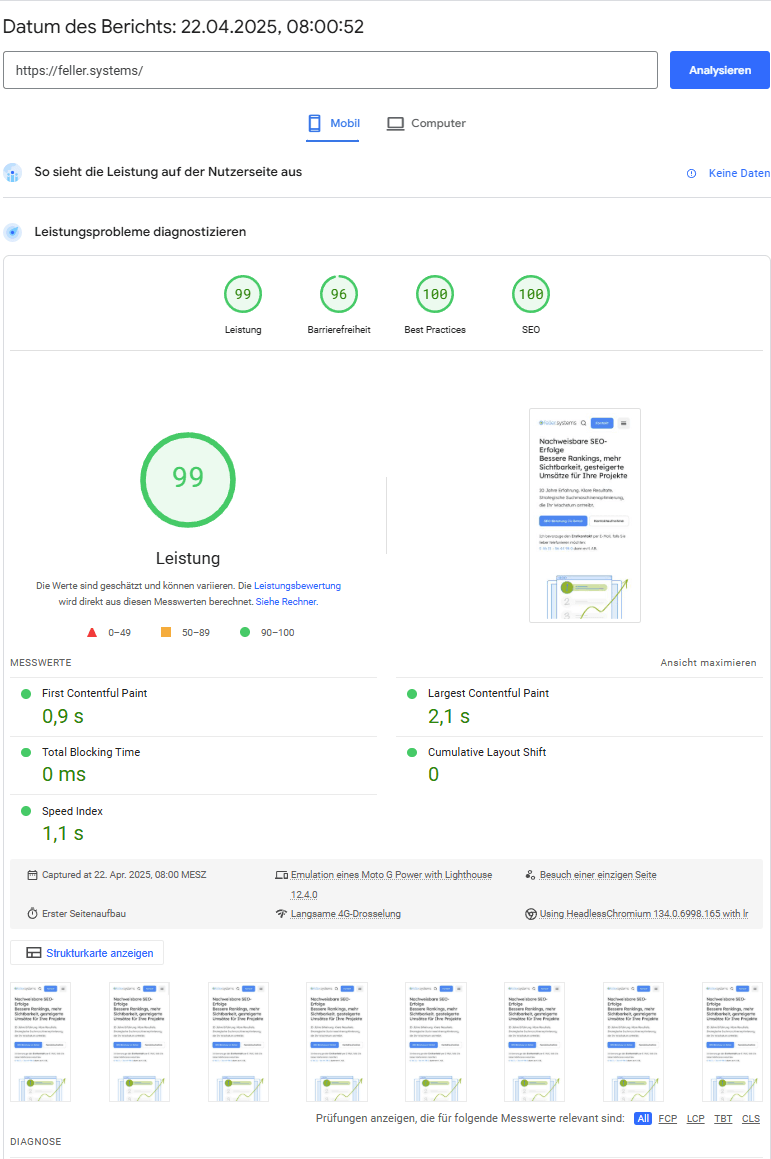 Screenshot vom PageSpeed Insights Tool mit 99/96/100/100