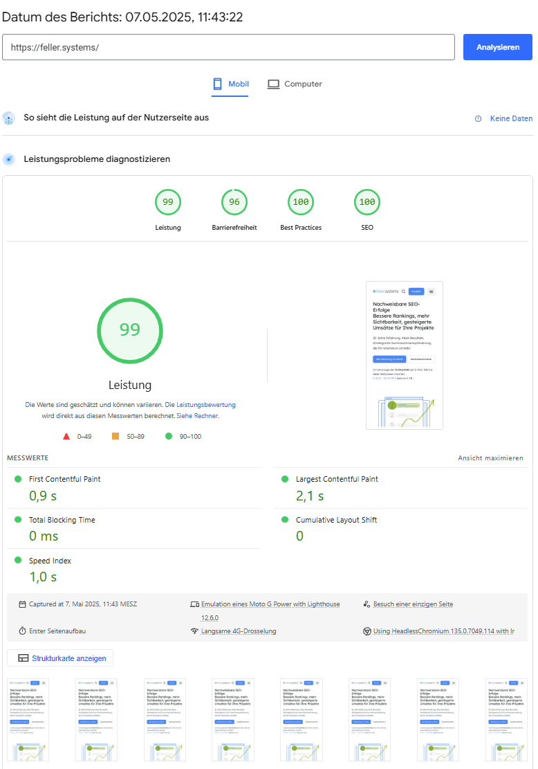 Screenshot vom PageSpeed Insights Tool mit 99/96/100/100
