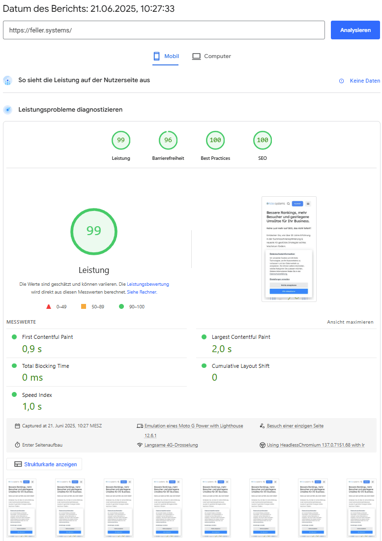 Screenshot vom PageSpeed Insights Tool mit 99/96/100/100