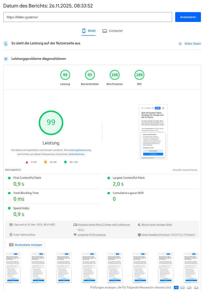 Screenshot vom PageSpeed Insights Tool mit 99/95/100/100